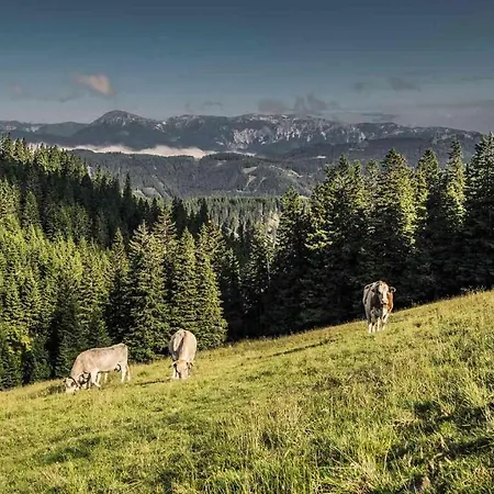 Kaiser Franz Josef 3* Rohr im Gebirge