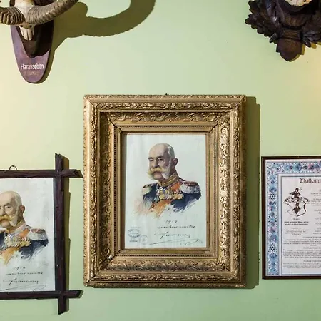 Kaiser Franz Josef فندق Rohr im Gebirge