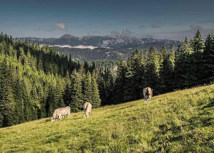 Kaiser Franz Josef 3* Rohr im Gebirge